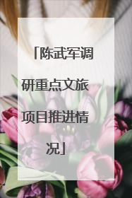 陈武军调研重点文旅项目推进情况