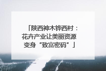 陕西神木铧西村：花卉产业让美丽资源变身“致富密码”