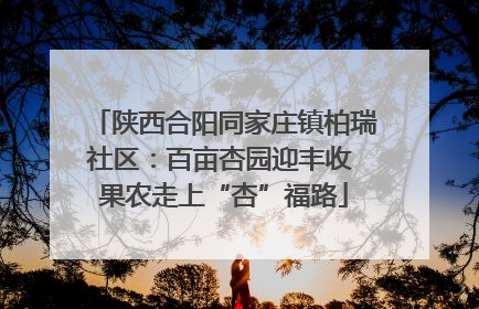 陕西合阳同家庄镇柏瑞社区：百亩杏园迎丰收 果农走上“杏”福路