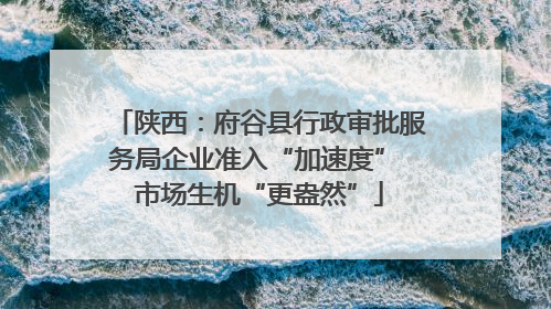陕西：府谷县行政审批服务局企业准入“加速度” 市场生机“更盎然”
