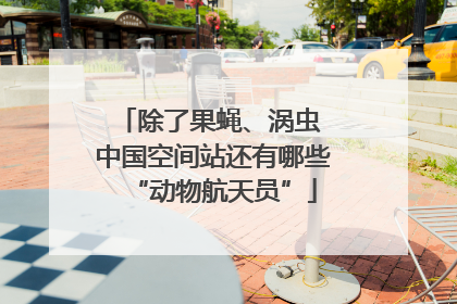 除了果蝇、涡虫 中国空间站还有哪些“动物航天员”