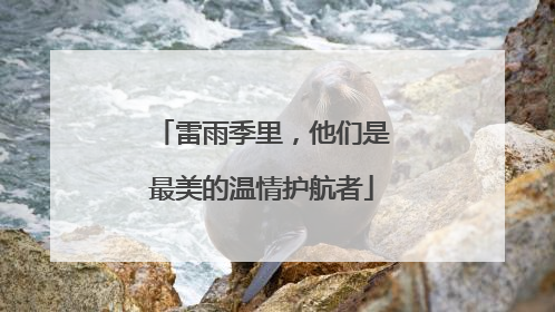 雷雨季里，他们是最美的温情护航者