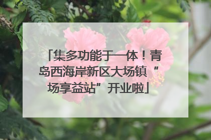 集多功能于一体！青岛西海岸新区大场镇“场享益站”开业啦