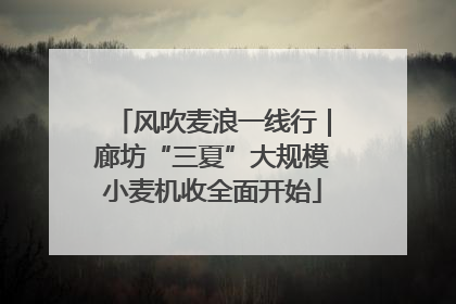 风吹麦浪一线行｜廊坊“三夏”大规模小麦机收全面开始