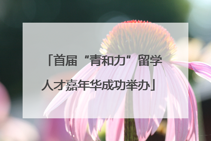 首届“青和力”留学人才嘉年华成功举办