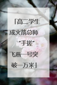 高二学生成火箭总师 “手搓”飞燕一号突破一万米