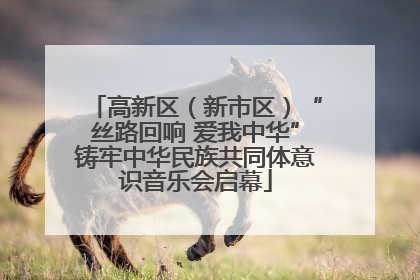 高新区（新市区）“丝路回响 爱我中华”铸牢中华民族共同体意识音乐会启幕
