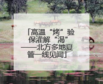 高温“烤”验 保灌解“渴”——北方多地夏管一线见闻
