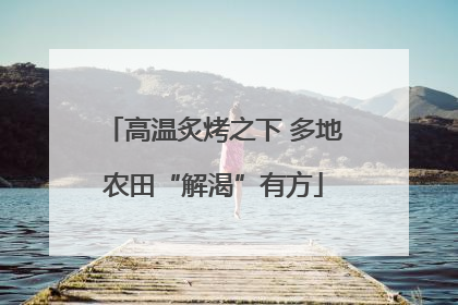 高温炙烤之下 多地农田“解渴”有方