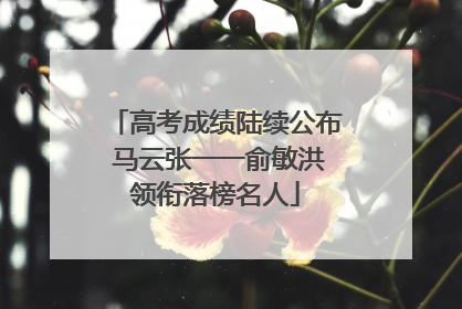 高考成绩陆续公布 马云张一一俞敏洪领衔落榜名人