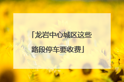 龙岩中心城区这些路段停车要收费