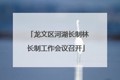 龙文区河湖长制林长制工作会议召开