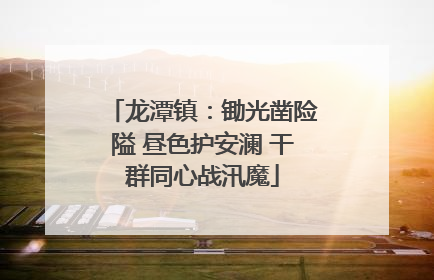 龙潭镇：锄光凿险隘 昼色护安澜 干群同心战汛魔