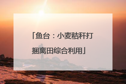 鱼台：小麦秸秆打捆离田综合利用