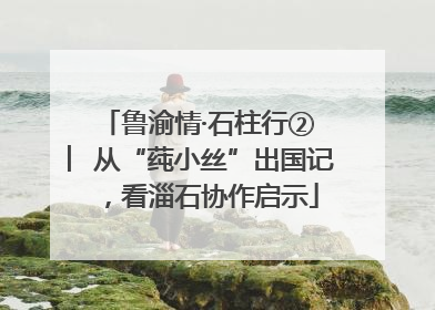 鲁渝情·石柱行② ︳从“莼小丝”出国记，看淄石协作启示