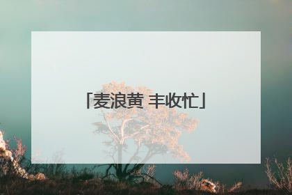 麦浪黄 丰收忙