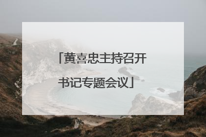 黄喜忠主持召开书记专题会议