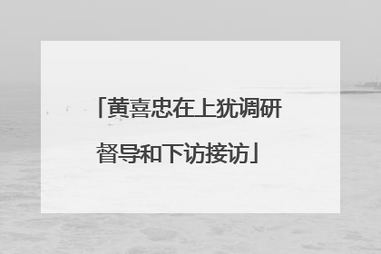 黄喜忠在上犹调研督导和下访接访