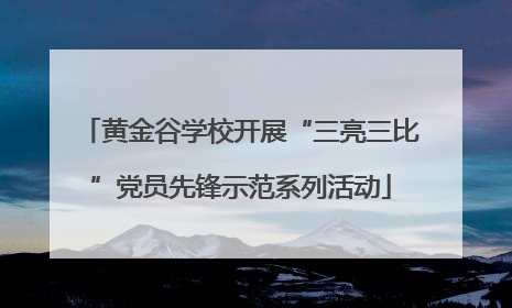 黄金谷学校开展“三亮三比”党员先锋示范系列活动