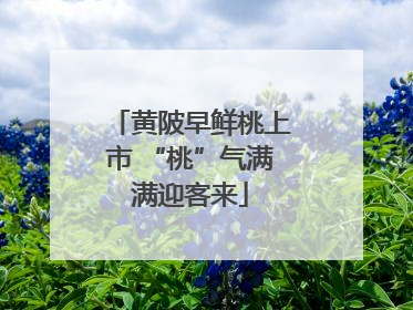 黄陂早鲜桃上市 “桃”气满满迎客来