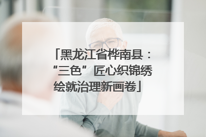 黑龙江省桦南县：“三色”匠心织锦绣 绘就治理新画卷