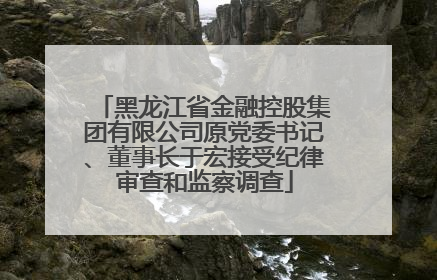 黑龙江省金融控股集团有限公司原党委书记、董事长于宏接受纪律审查和监察调查