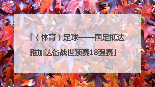 （体育）足球——国足抵达雅加达备战世预赛18强赛