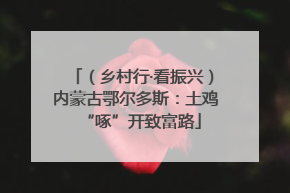 （乡村行·看振兴）内蒙古鄂尔多斯：土鸡“啄”开致富路