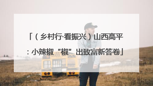 （乡村行·看振兴）山西高平：小辣椒“椒”出致富新答卷