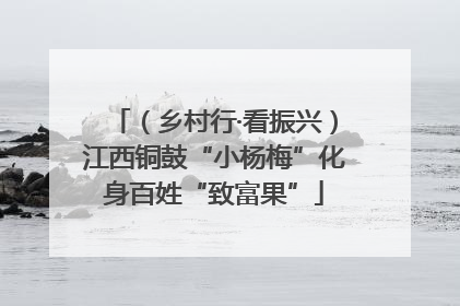 （乡村行·看振兴）江西铜鼓“小杨梅”化身百姓“致富果”