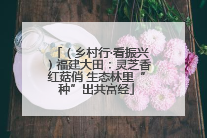 （乡村行·看振兴）福建大田：灵芝香红菇俏 生态林里“种”出共富经