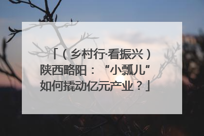 （乡村行·看振兴）陕西略阳：“小瓢儿”如何撬动亿元产业？