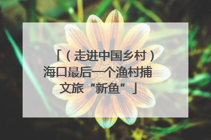 （走进中国乡村）海口最后一个渔村捕文旅“新鱼”