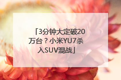 3分钟大定破20万台？小米YU7杀入SUV混战