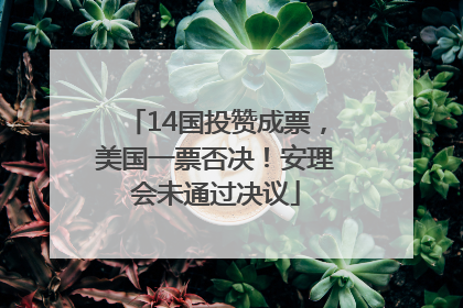 14国投赞成票，美国一票否决！安理会未通过决议