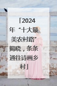 2024年“十大最美农村路”揭晓，条条通往诗画乡村