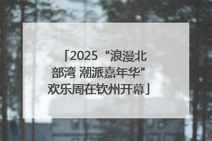 2025“浪漫北部湾 潮派嘉年华”欢乐周在钦州开幕
