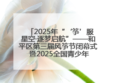 2025年“‘筝’服星空·逐梦启航”——和平区第三届风筝节闭幕式 暨2025全国青少年风筝制作放飞赛（沈阳站）颁奖仪式