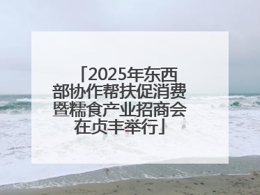 2025年东西部协作帮扶促消费暨糯食产业招商会在贞丰举行