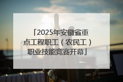 2025年安徽省重点工程职工（农民工）职业技能竞赛开幕
