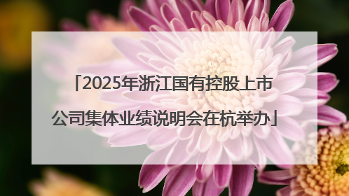 2025年浙江国有控股上市公司集体业绩说明会在杭举办
