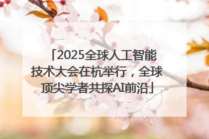 2025全球人工智能技术大会在杭举行，全球顶尖学者共探AI前沿