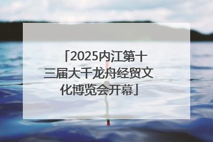2025内江第十三届大千龙舟经贸文化博览会开幕