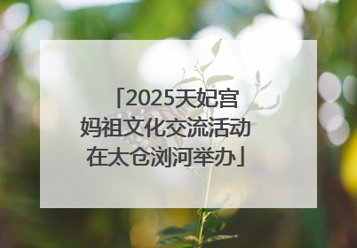 2025天妃宫妈祖文化交流活动在太仓浏河举办