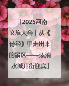 2025河南文旅大会丨从《诗经》里走出来的景区——溱洧水城开街迎宾