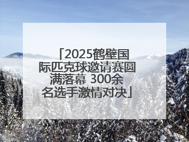 2025鹤壁国际匹克球邀请赛圆满落幕 300余名选手激情对决