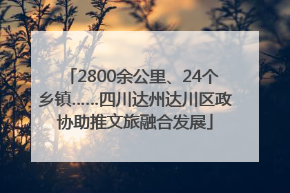 2800余公里、24个乡镇……四川达州达川区政协助推文旅融合发展