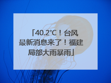 40.2℃！台风最新消息来了！福建局部大雨暴雨