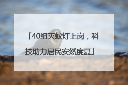 40组灭蚊灯上岗，科技助力居民安然度夏