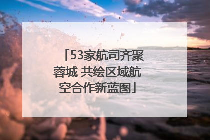 53家航司齐聚蓉城 共绘区域航空合作新蓝图